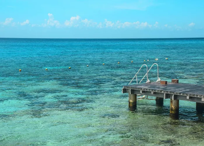Oceanfront Oasis At Peninsula Grand * Cozumel